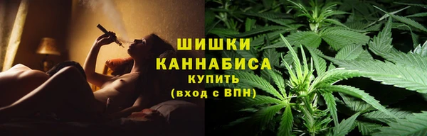 амф Майский