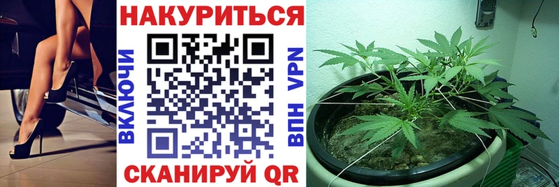Купить где  Сосновоборск  Бошки Шишки MAZAR 